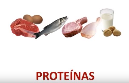 Qué es la dieta Atkins Sanitas Promo Salud